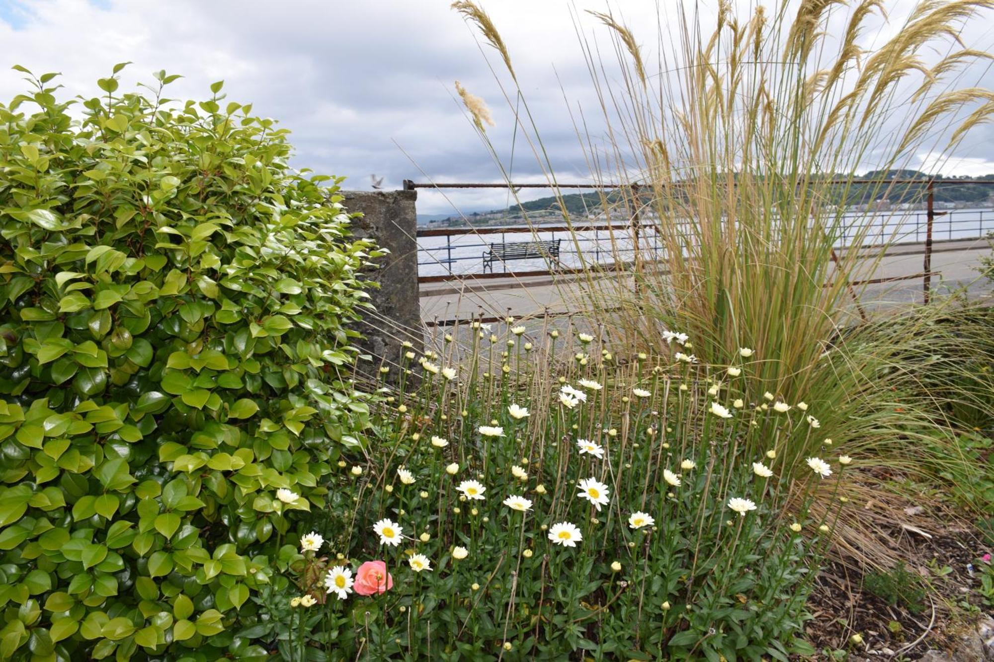 One Marine Place Port Bannatyne المظهر الخارجي الصورة
